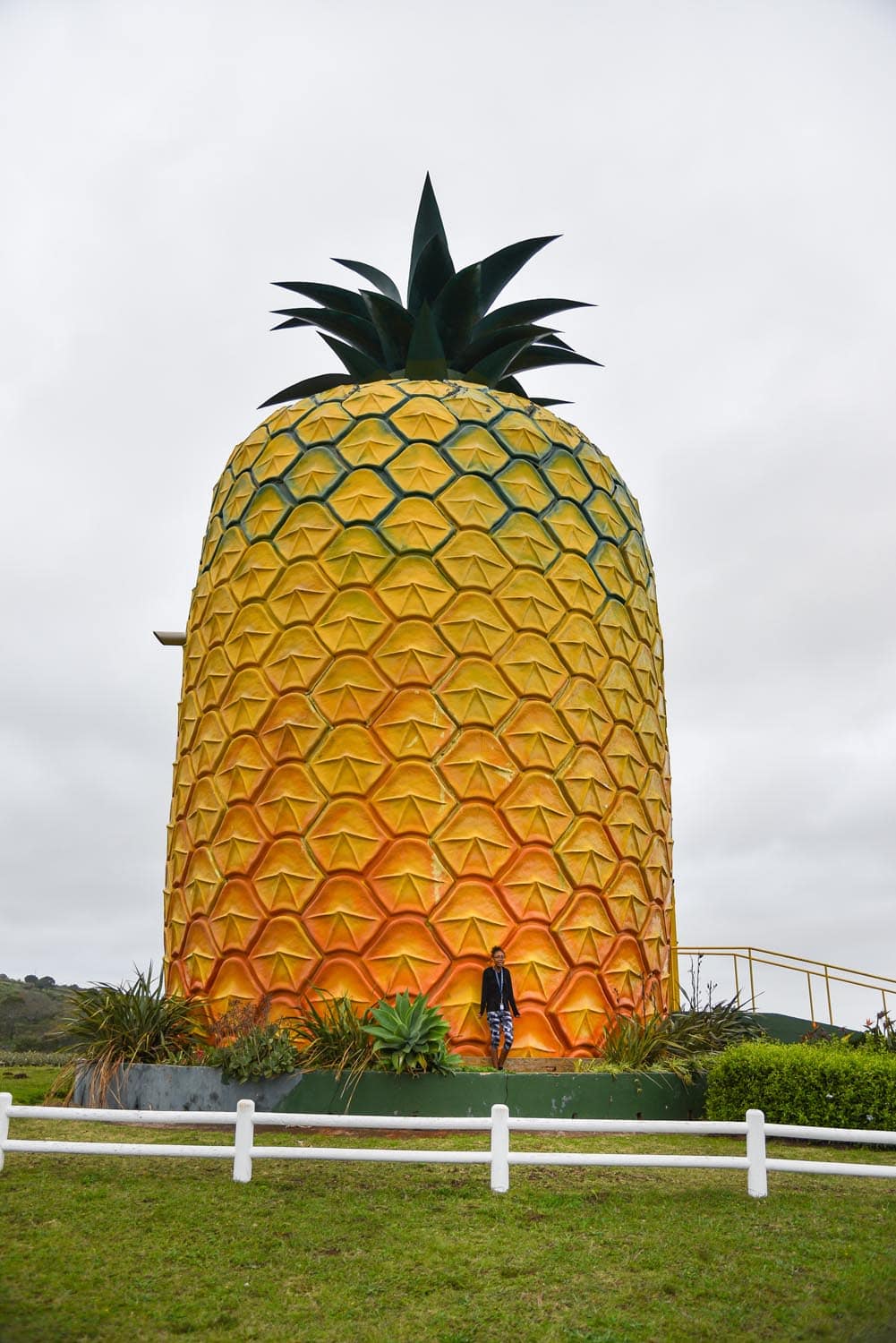 Pineapple Farm, Things to do in Eastern Cape
